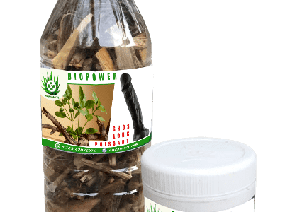 BioPower