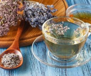 Remèdes Naturels : Quelques Plantes Efficaces contre les Fibromes Utérins