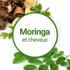 les bienfaits du moringa pour les cheveux ?