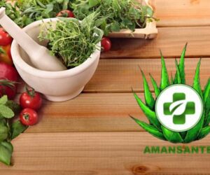 10 Plantes Miracle pour Améliorer Votre Bien-être Quotidien