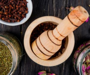 Top 7 des plantes les plus puissantes pour booster l&rsquo;érection et l&rsquo;endurance masculine